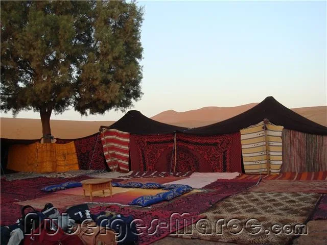 Photo de kasbah tamariste