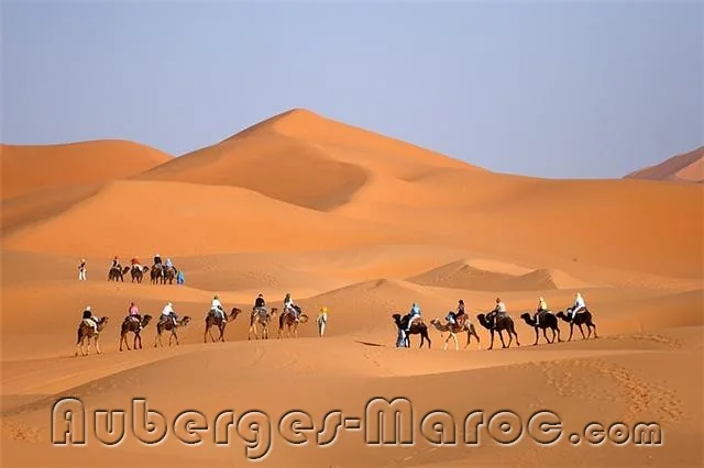 Photo de kasbah tamariste