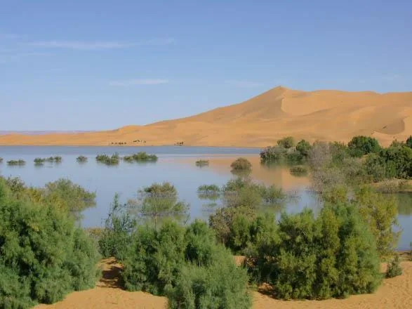 Photo de kasbah tamariste