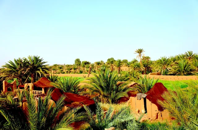 Auberge la palmeraie