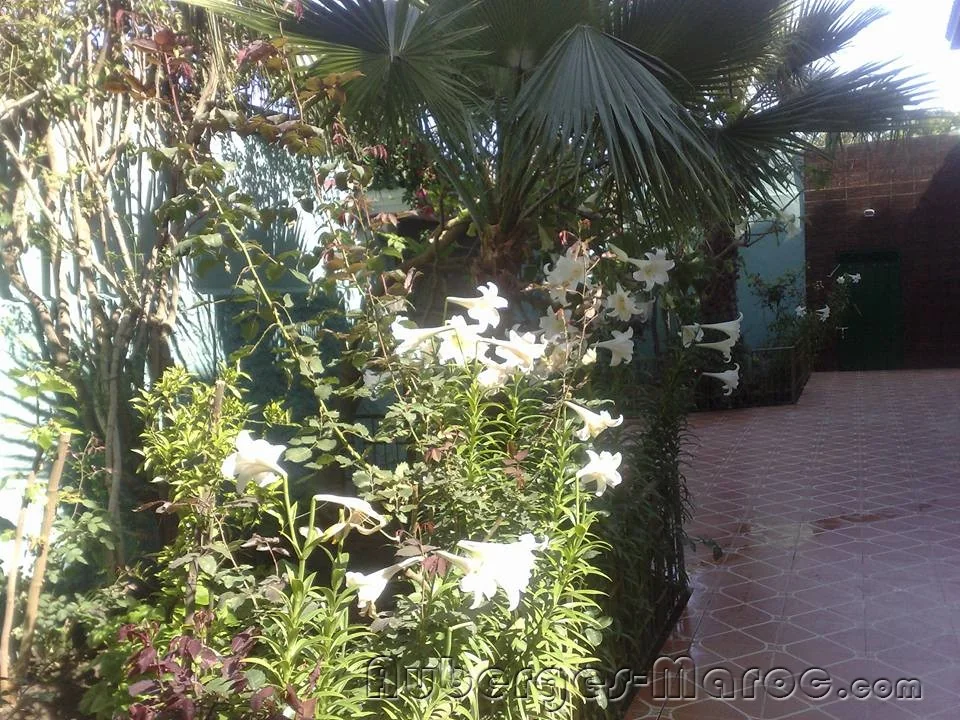 Photo of AUBERGE Tetouan