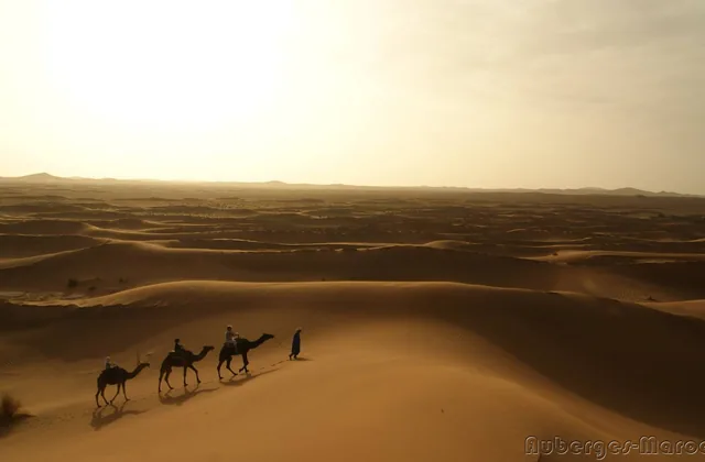 Photo of la Kahena - Tinhinan  Desert Camps & Lodges