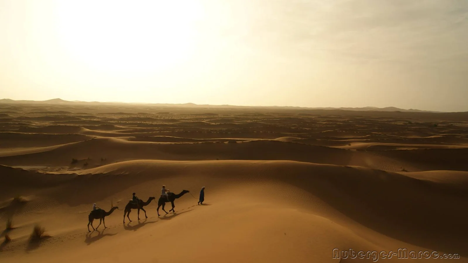 Photo of la Kahena - Tinhinan  Desert Camps & Lodges