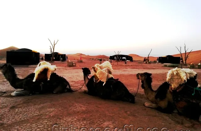 Photo of la Kahena - Tinhinan  Desert Camps & Lodges
