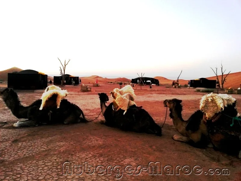 Photo of la Kahena - Tinhinan  Desert Camps & Lodges