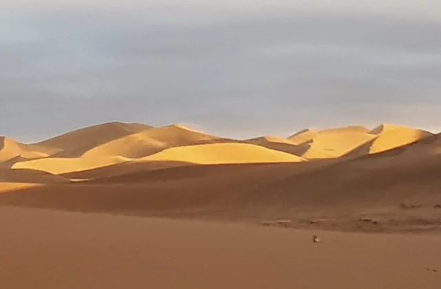 Photo of Desert Bivouac
