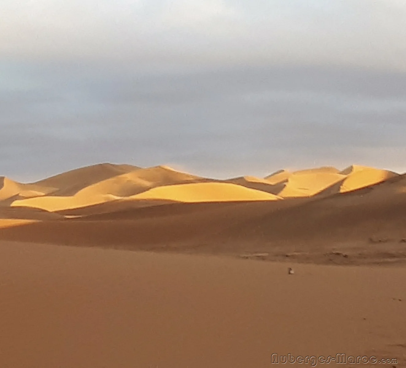 Photo of Desert Bivouac