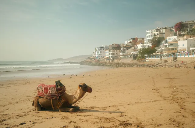 Discover Agadir