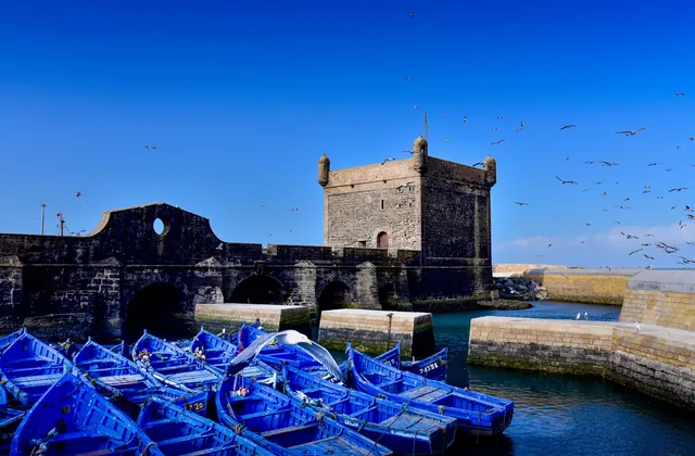 Discover Essaouira