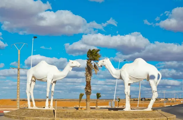 Découvrir Tantan